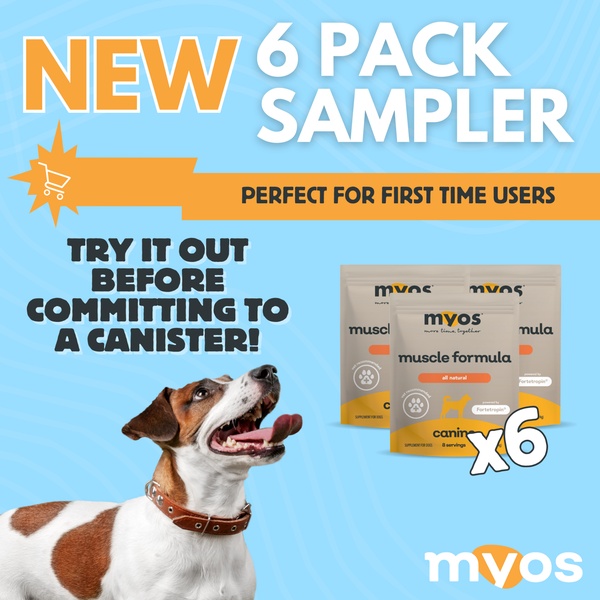 A square ad creative featuring a happy dog next to six packs of dog muscle supplement, clearly communicating a low-barrier offer for first-time buyers.